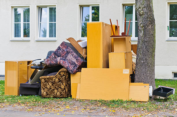 Best Electronics Removal Services  in Kenyon, MN